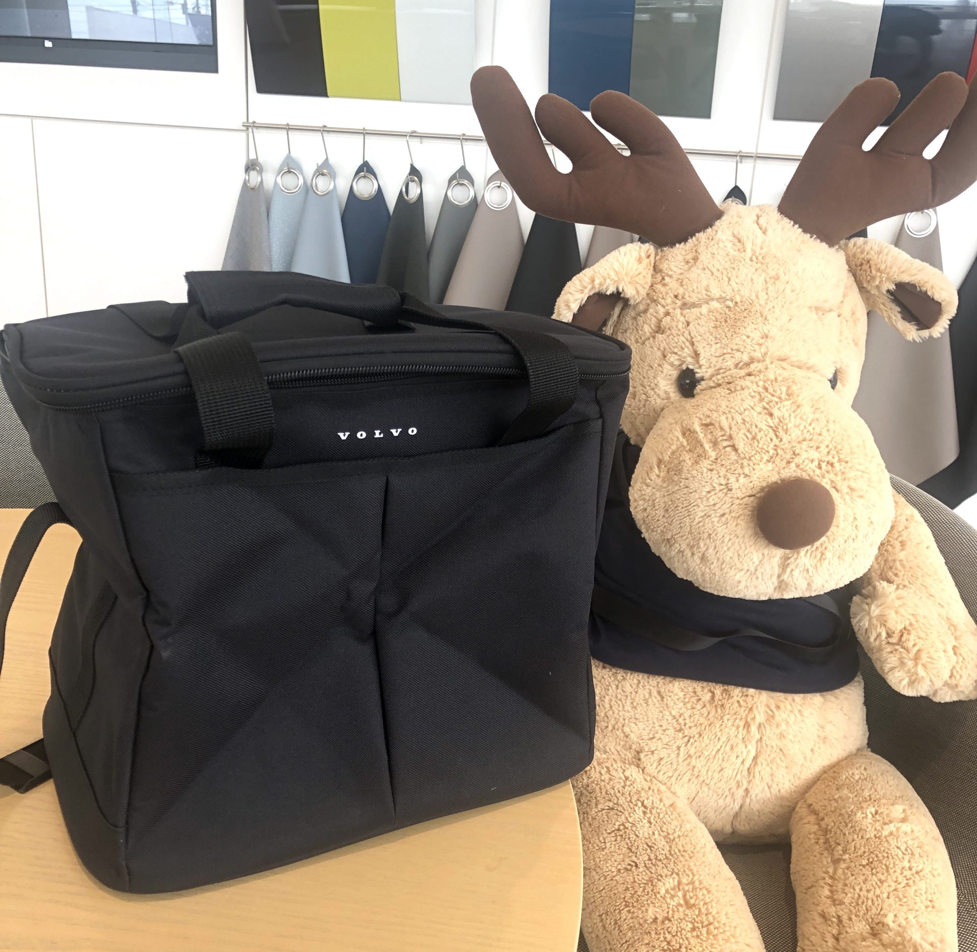 7月19日(土)～7月20日(日) 試乗&査定でクーラーバッグプレゼント